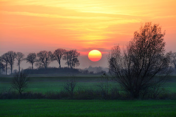 piękny krajobraz, zachód słońca, drzewa i pole, Polska