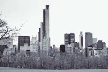 Fototapeta na wymiar The Central Park of New York City. 