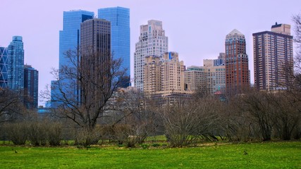 Fototapeta premium The Central Park of New York City. 