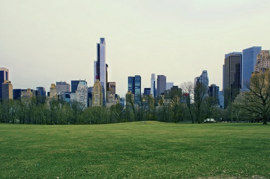 The Central Park of New York City. 