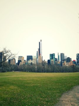The Central Park of New York City. 