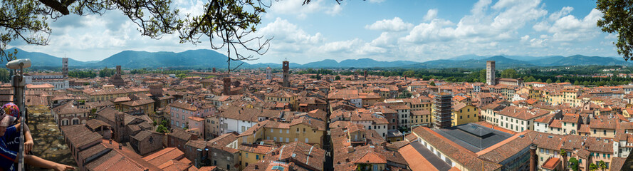 Vue de puis la  Torre Guinigi à Lucca en Italie - obrazy, fototapety, plakaty
