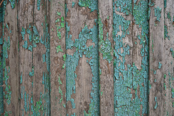 Old wooden fence with turquoise paint. Old paint on the fence discolored in places.