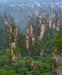 Vertical view of the stone pillars of Tianzi mountain