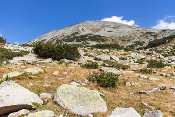 Fototapeta na wymiar landscape of Pirin Mountain near The long Lake, Bulgaria