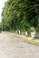 Allee am Deich von Dömitz an der Elbe