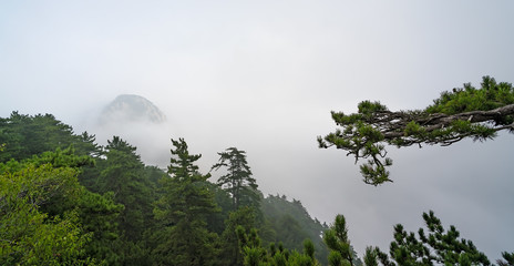 Misty landscape as seen from Huashan mountain in China