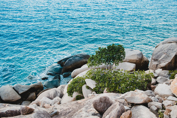 Young skinny girl sitting on the edge of the rock, enjoying view on the beach and ocean