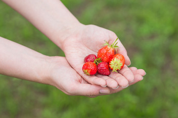 handful of strawberries