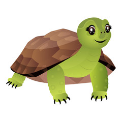 Cute cartoon turtle isolated on a white background. Flat style.