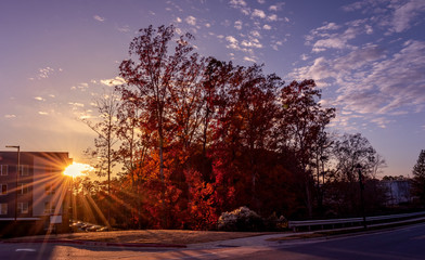 Naklejka premium Sunset by a condo during the fall season
