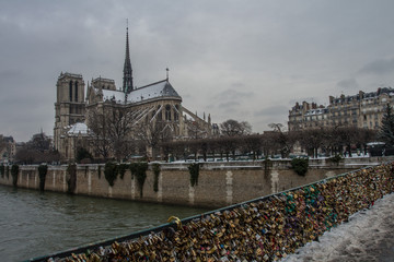 Fototapeta na wymiar Notre-Dame sous la neige, à Paris