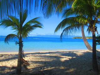 La mer turquoise paradisiaque avec des palmiers sur la plage