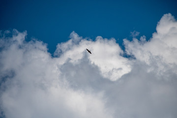 Beautiful Clouds in a clear blue sky