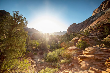 Zion National Park