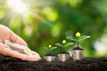 The hands of investors deliver coins to trees planted on coins. Financial and investment concepts.