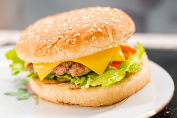 Homemade hamburger on the plate closeup. Selective focus
