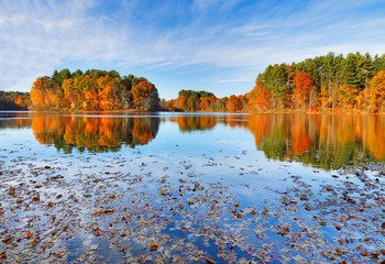 Beautiful New England Fall Foliage with reflections at sunrise, Boston Massachusetts.
