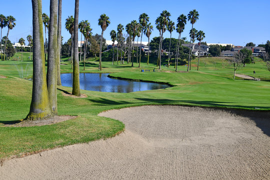 Green manicured grass of golf course fairway grass and rough with water and palm trees