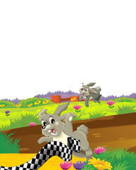 cartoon scene with rabbit on a farm having fun on white background - illustration for children