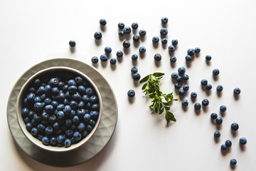 Blueberries in bowl isolated on white background. Healthy food, health