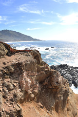 Fototapeta na wymiar Big Sur, the beautiful and rugged Californian coast along Route 1, California