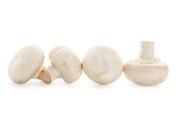 Fresh champignon mushrooms on white background