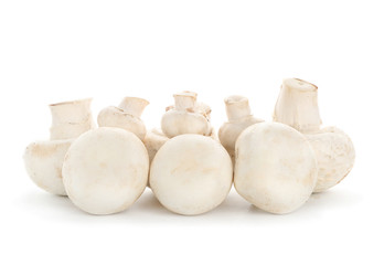 Fresh champignon mushrooms on white background