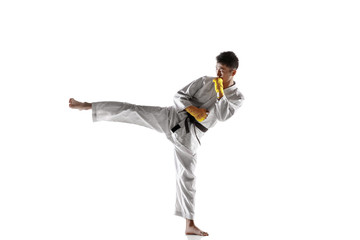 Confident korean man in kimono practicing hand-to-hand combat, martial arts. Young male fighter with black belt training isolated on white studio background. Concept of healthy lifestyle, sport.