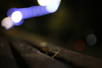 Leaf fallen on a wooden bench