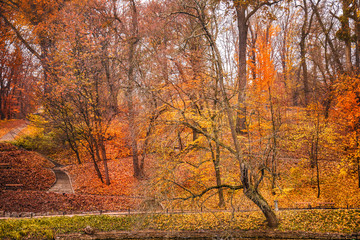 Fototapeta na wymiar View of beautiful autumn park