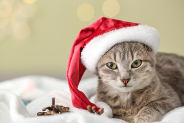 Cute funny cat in Santa hat lying on soft plaid