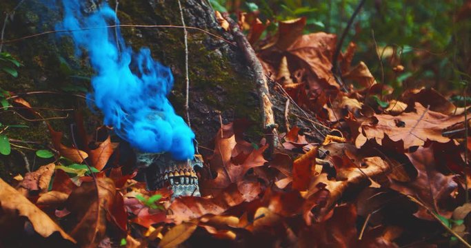 A skull in the woods set against a tree with blue smoke pouring out of the eye holes. 4k, shot 60 fps
