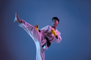Fototapeta na wymiar Confident korean man in kimono practicing hand-to-hand combat, martial arts. Young male fighter with black belt training on gradient background in neon light. Concept of healthy lifestyle, sport.