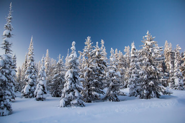 Incredibly Beautiful Deep-Winter Landscape -- Montana