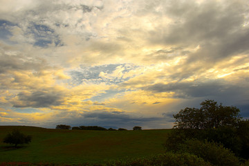 Sunrise Over Field