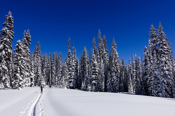 Maintaining An Active Lifestyle During Winter - Cross Country Skiing