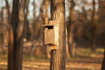 Bird House