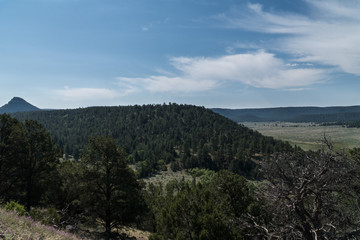 The view from the Juniper campground road, New Mexico.
