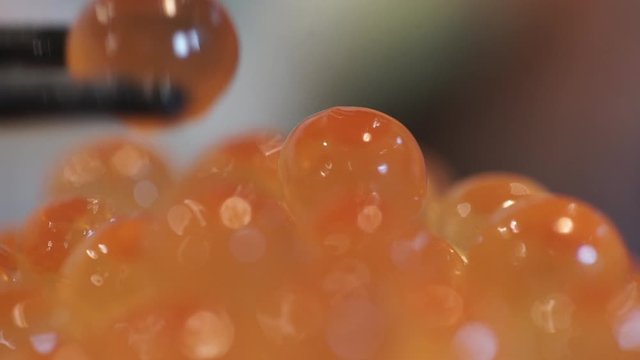close up Shrimp eggs in japnese restuarant