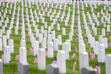 Seemingly endless field of graves, each with a small U.S. flag, on Memorial Day 2018, Arlington National Cemetery, Arlington, VA. - obrazy, fototapety, plakaty