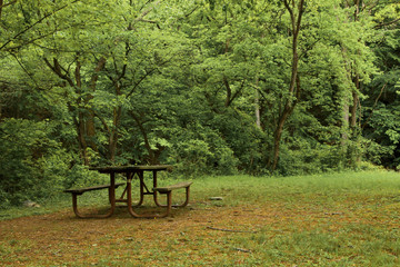 Wooden benches and a table in a park in Washington DC
