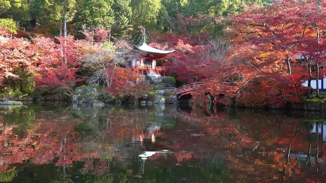 日本　京都　醍醐寺の紅葉と秋景色
