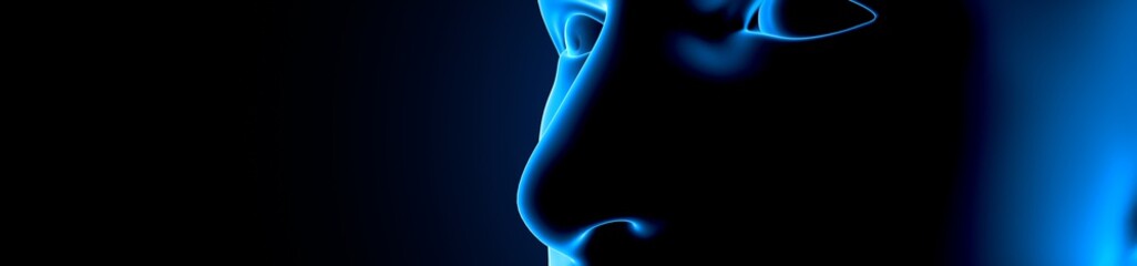 3d illustration human body eye anatomy human body organ