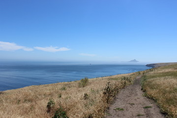 Fototapeta na wymiar Catalina Island Ridge View