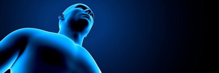 3d illustration of human body head system anatomy