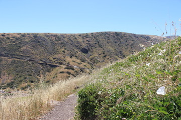 Catalina Hillside Hike