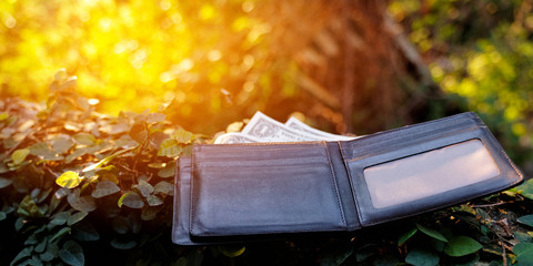 Lost the wallet in jungle