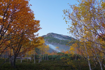 Fototapeta premium 秋の硫黄山。弟子屈町、北海道。