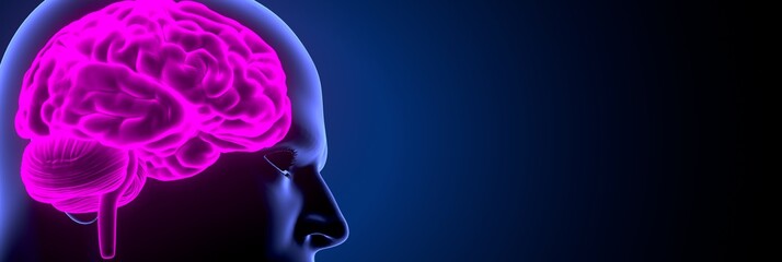 3d render of human body brain anatomy